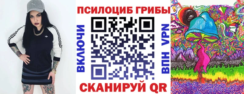 Псилоцибиновые грибы Psilocybe  Купить где  Верхняя Пышма 